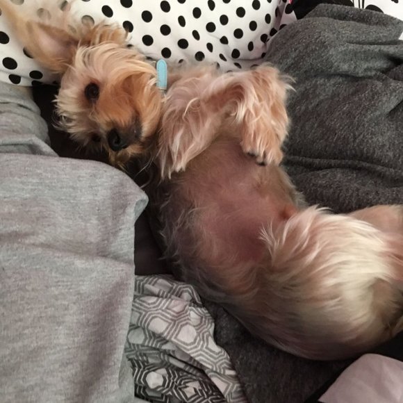 Meet your Posher, Michelle - Picture 11 of 16